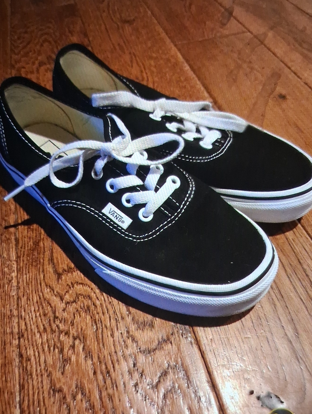 Vans Black Canvas Low-Top Sneakers with White Laces